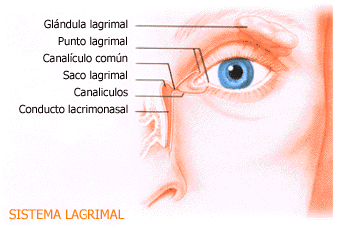 Figura ilustrativa afeccion de presbicia